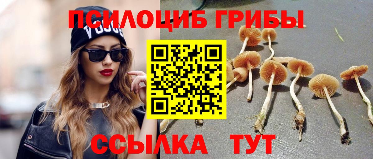 Псилоцибиновые грибы GOLDEN TEACHER Донской