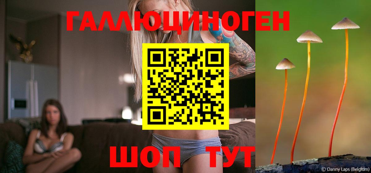 Донской  что такое   Вход с VPN  Псилоцибиновые грибы Cubensis 